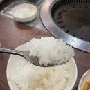 김이밥이커졌어요 이미지