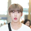 바니바니 이미지