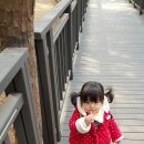 토닥이 - 안산시 단원구 광덕대로 194 | 토닥이