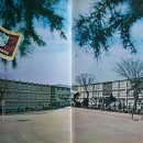 유락여자중학교 이미지