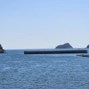 우학터미널 이미지