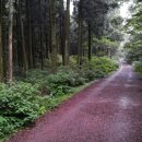 엄마의 그림책 놀이 이미지