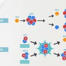 Oppenheimer 이미지