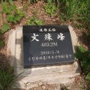 용인정신병원 이미지