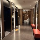 씨플러스레지던스 | 호텔] 소피텔 앰배서더 서울 매니피크 룸 호캉스 후기｜ALL 아코르 등급별 혜택 + 체크인 + 서비스 감동