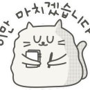 정성효참치