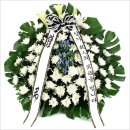 성일(아) 이미지