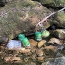 포레스트벨리 이미지