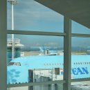 S마켓(시영점) | 24.09 요코하마 3박 4일 여행 1일차 : 키친 조스, 차이나타운