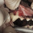 청평우리병원 이미지