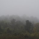 한라수목원 이미지