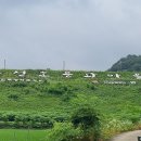 광천마을 이미지