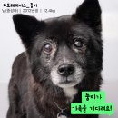 별빛쉼표 이미지