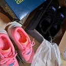 용담로 무궁화길 | [일상] 휴일만을 죽도록 기다린 디자인 에이전시.. 신입 디자이너의 일상 (3) | 5/6~12