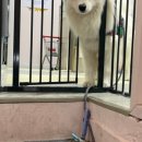 놀면멍하냥 이미지