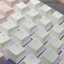 사쿠라(SAKURA) 이미지