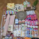 나나비펫 | [경기/고양 일산] 궁디팡팡 캣페스타 ; 2025 고양이 박람회 킨텍스 캣페어 후기
