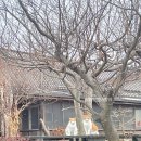 내돈내산 강화도 맛집 마니온 수제돈까스 후기