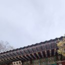 영신당약국 이미지