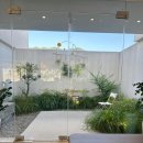 계룡산편백숲입구 이미지