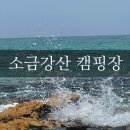 영장 | 오대산 소금강산야영장 캠핑 후기 | 예약 꿀팁·사이트 추천·주의사항 총정리