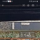 송어의꿈 이미지