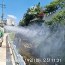 청도비엠주 이미지