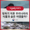 풍산지질(주) | 빙하기 이후 우리나라의 식물과 숲은 어땠을까?