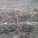 금주농장 이미지