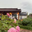 옥분스테이 이미지