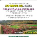 뉴골드게임장 - 천안시 동남구 버들로 8 | 뉴골드게임장