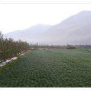 석골농장 이미지