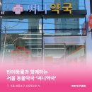써니약국 네이버블로그