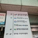 해님달님어린이집 | 성남 양지 아이사랑 놀이터 10개월 아기랑 갈만한 곳 추천 주차