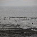 서도초등학교병설유치원 이미지