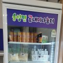 웅양면사무소