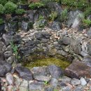 단종 어수정 이미지