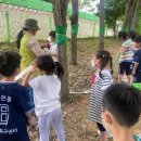 문장초등학교 이미지