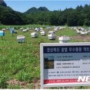 장원 이미지