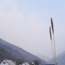 만남펜션 이미지