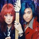 미스미스터 이미지