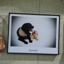 아이러브독도 이미지