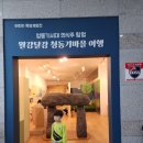 선사랑 놀자(하반기) 이미지