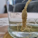 부동산창대공인중개사사무소 이미지