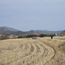 DMZ 평화의길 32코스 고성군 *소똥령마을 휴선정~금강산 건봉사 입구* (26.02.21) 이미지