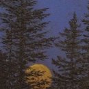 대청명품세탁 | 자취하는 직장인 부수입 | 쿠팡파트너스 잘 하는법 AF1671370 추천인 코드