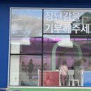 코끼리 환경 이미지