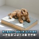 고급스러움과 시원함 다 잡은 투인플레이스 썸머스톤 대리석 매트 후기