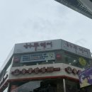 바이올렛 | 대전 은행동미용실 하루헤어 4호점 레드바이올렛 염색 후기
