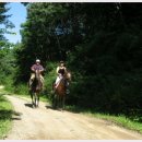 승마 아카데미! 이미지